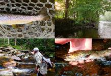 Photos: Entries from Week Two of Our “20 September Days” Contest