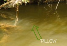 Video: How to Find Trout Near In-Stream Wood