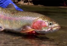 Master Class Monday: How to Fish Gravel Shelves