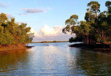 Stream to Salt VI: Understanding Tides