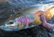 Fishing report, Sept. 30 – Medford News, Weather, Sports, Breaking News