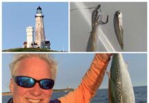 Would Citizen Science Boost Confidence in Fish Stock Assessments?