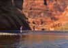 On the Colorado River, growing concern for fish as waters warm – The Durango Herald