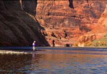 On the Colorado River, growing concern for fish as waters warm – The Durango Herald