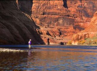 On the Colorado River, growing concern for fish as waters warm – The Durango Herald