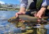 Trout Fishing in the West Isn’t Doomed. Not Yet, Anyway