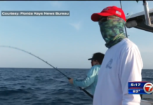 Florida charter fishing boats bemoan dwindling mahi mahi – WSVN 7News | Miami News, Weather, Sports