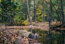 Southern counties offer best hunting and fishing