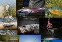 Vote for the Winners in Our 2022 “20 Days in September” Contest—and Maybe Win Something for Yourself!