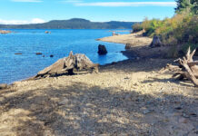 Extending your fishing well into November around Campbell River – Campbell River Mirror