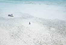 The zenith of saltwater fly fishing