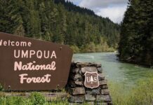 Exploring the Umpqua National Forest | News