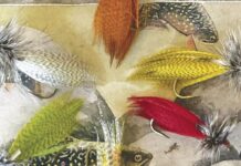 North Country Angling: As time runs out | Fishing