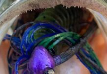 Toledo Bend Fishing report | Lifestyle