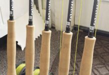 North Country Angling: Changing seasons | Fishing