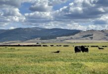 Open Lands Program up for renewal Nov 8.