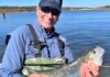 Dave Monti: Cape Cod Canal, estuaries and ocean shore explode with striped bass | Local Sports