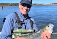 Dave Monti: Cape Cod Canal, estuaries and ocean shore explode with striped bass | Local Sports