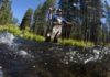 Where to go fly fishing in central Oregon: Opportunities abound in fall – Here is Oregon
