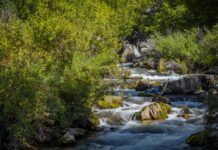 SOUTH FORK AUTUMN ADVENTURES | idahofallsmagazine.com