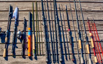Best Travel Fishing Rods – 2022 Buyer’s Guide