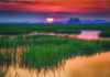 Discover Kiawah Island – FLYING Magazine