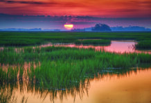 Discover Kiawah Island – FLYING Magazine
