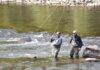 Fly fishing on the Esopus Creek – Daily Freeman