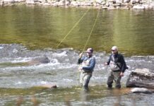 Fly fishing on the Esopus Creek – Daily Freeman