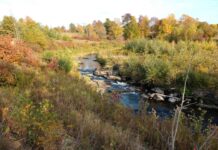 Downeast Trout Unlimited plans to meet Oct. 19