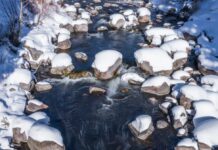 Salomone: Winter angling preparation | VailDaily.com