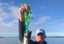 Lakes Region Sportsman: Cast and blast this month