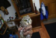 Reuniting with friends at Adirondack Wild meeting, Old Ranger Tales Lecture Series –