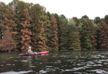 Autumn warmwater fly fishing | VailDaily.com