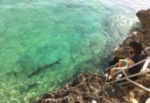 Stream to Salt VII: Avoiding Unproductive Options