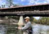 N.H. Foliage and Fly Fishing