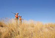 Explaining My Concept of “UplandJitsu”