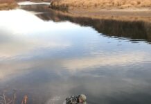 Salomone: The 30-degree swing during fall