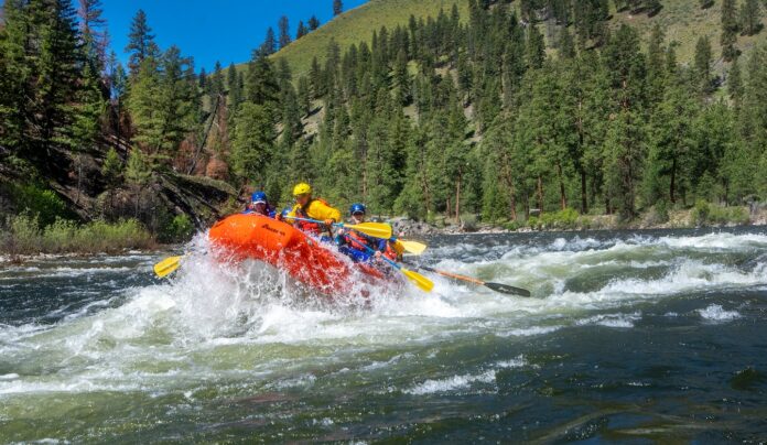 On The Middle Fork Of Idaho's Salmon River, White-water Rafting At Its ...