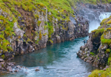 In the wilds of northern Iceland, Jim Ratcliffe is on a mission to save the Atlantic salmon