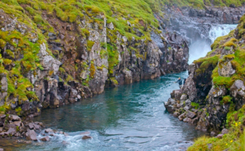 In the wilds of northern Iceland, Jim Ratcliffe is on a mission to save the Atlantic salmon