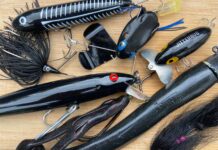 Why Black Lures Catch So Many Fish