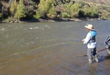 Fly fishing the Lower Colorado River