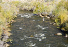 Tightline-Nymphing Tips: When in Doubt, Drag ‘Em