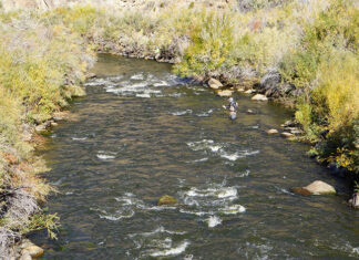 Tightline-Nymphing Tips: When in Doubt, Drag ‘Em