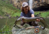 Podcast: Carp and Eels Down Under, with Angus Reynolds