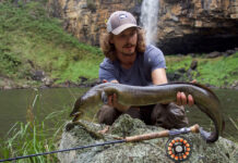 Podcast: Carp and Eels Down Under, with Angus Reynolds