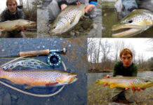 Video Pro Tips: Fall Streamer Fishing