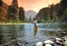 Top 7 Fish to Catch in the USA