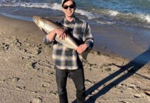 Chicago fishing, Midwest Report: Nearshore salmon and trout remain the lead